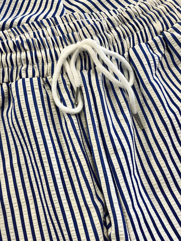 Riley Pinstripe Drawstring Pant