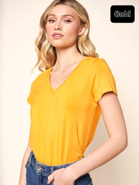 Casey V-Neck Perfect Tees - Multi